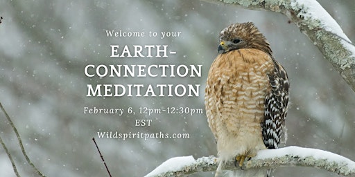 Imagen principal de Earth-Connection Meditation: Guided Meditation, Practices & Poetry