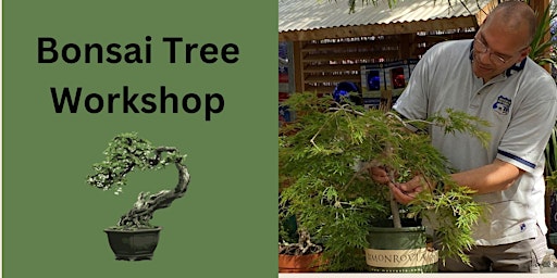 Bonsai Trees- Shaping and Pruning primary image