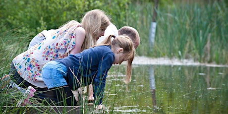 Pond Dipping for Families (afternoon) - Nature Discovery Centre