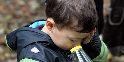 Hauptbild für Minibeast Bop for Toddlers - Nature Discovery Centre, Thursday 4 April