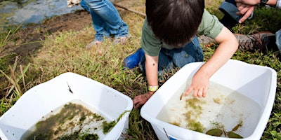 Water Stewards Spring Break Day Camp (Trimble) primary image