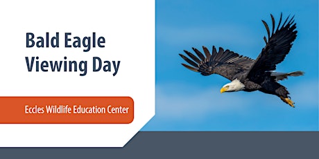 Image principale de Bald Eagle Viewing Day - Eccles Wildlife Education Center