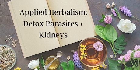 Applied Herbalism: Detox Parasites + Kidneys primary image