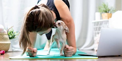 Copy of PUPPY YOGA + FLORAL BOUQUET CLASS primary image