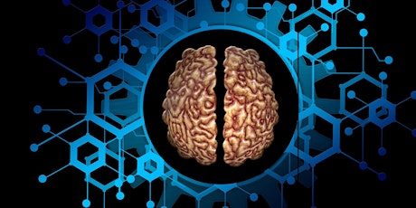 Image principale de For grades 7-12: The Human Brain