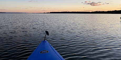 Group Birding Paddle