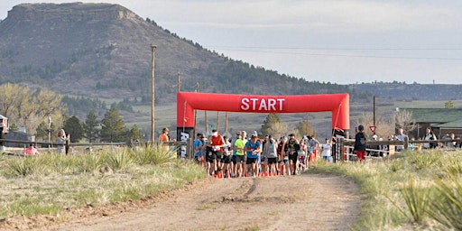 Greenland Trail Races - 2024 primary image