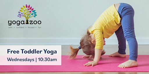 Image principale de Toddler Yoga