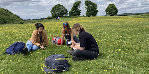 Primaire afbeelding van Early Season Grass Identification