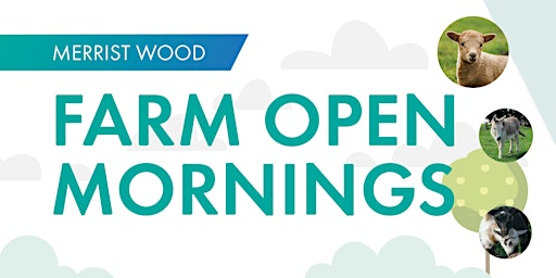 Imagem principal de Merrist Wood Farm Open Mornings.