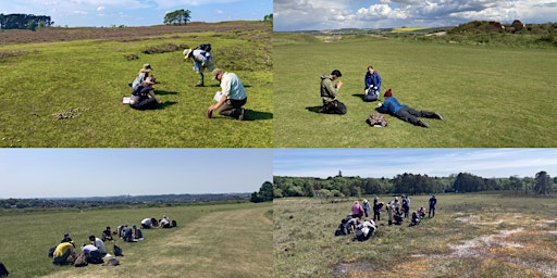 Hauptbild für Habitat Indicator Species - 2 day course