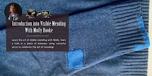 Immagine principale di Introduction to Visible Mending With Molly Rooke 