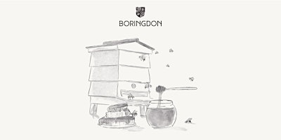 Immagine principale di Beekeeping Course and Honey Afternoon Tea 