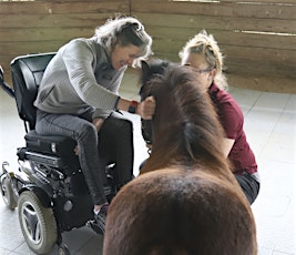 Creatively Therapeutic: Equine Assisted Activities Workshop