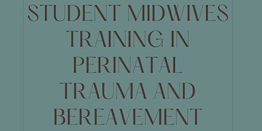 Primaire afbeelding van Copy of Student Midwife Study Day Perinatal Trauma and Bereavement Care
