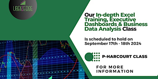 Imagen principal de In-depth Excel Training, Executive Dashboards & Business Data Analysis