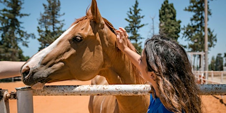 Animal Shelter – בית מחסה לבעלי חיים primary image