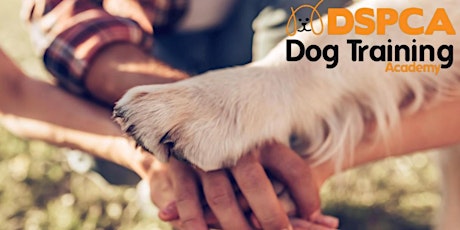 Canine Behavior & Dog Training Course May 2024 primary image