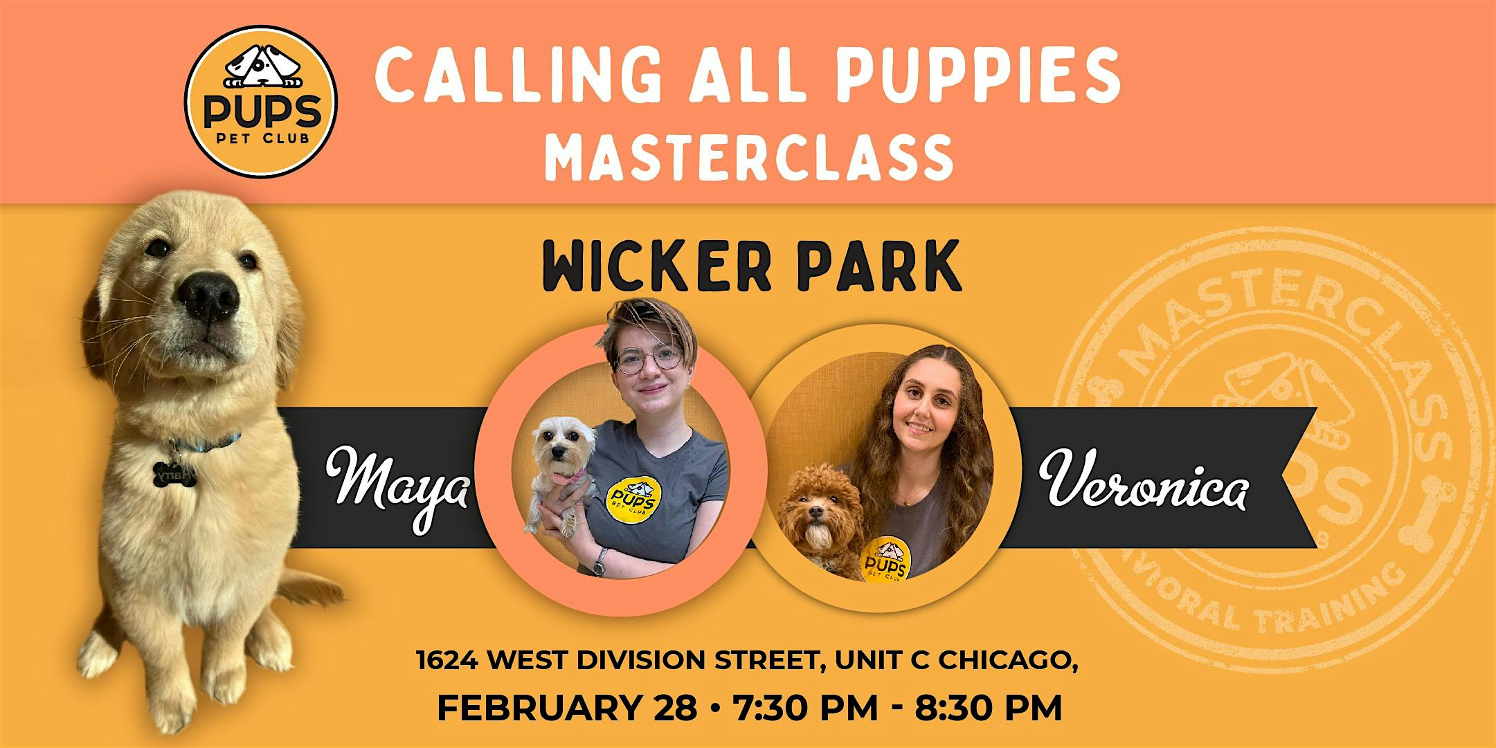 Calling All Puppies – WICKER PARK 28