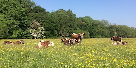 Hauptbild für Meadow management at Macclesfield Riverside Park