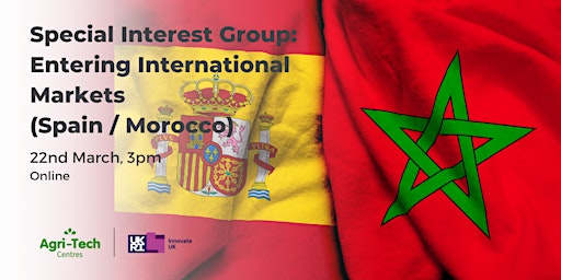 Imagen principal de Special Interest Group: Entering International Markets (Spain/Morocco)