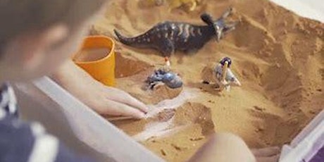 Imagen principal de IN-PERSON-Intro to Sand Tray Therapy Training – Baxter