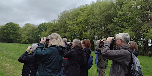 Imagem principal do evento Birdwatching – Understanding Spring Birds with Nature Stuff  (Tuesdays)