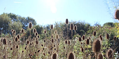 Nature, Natter and Nibbles - Didcot, Friday 5 April primary image