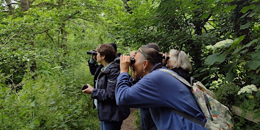 Imagem principal do evento Birdwatching – Understanding Summer Birds with Nature Stuff (Tuesdays)