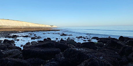 Coastal Foraging Workshop - Brighton - Sea Vegetables and Sea Weed.