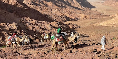 SES Explorer Series: Rosie Stancer and Pom Oliver - Sinai Peninsula