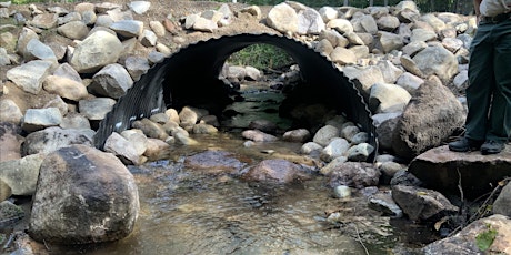 Imagem principal do evento Treehaven Dinner and a Speaker- Brook Trout & Culverts