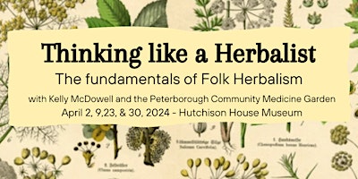 Primaire afbeelding van Thinking like a Herbalist: The fundamentals of folk herbalism