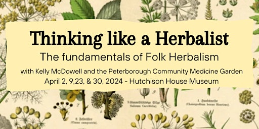 Image principale de Thinking like a Herbalist: The fundamentals of folk herbalism