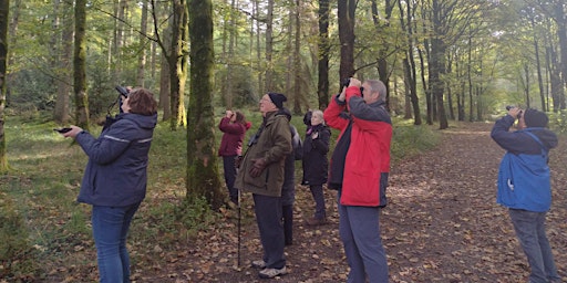 Hauptbild für Birdwatching – Understanding More About Autumn Birds  (Tuesdays)