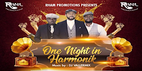 One Night in Harmonik primary image