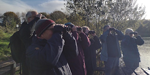 Imagem principal do evento Birdwatching – Understanding More About Autumn Birds  (Wednesdays)
