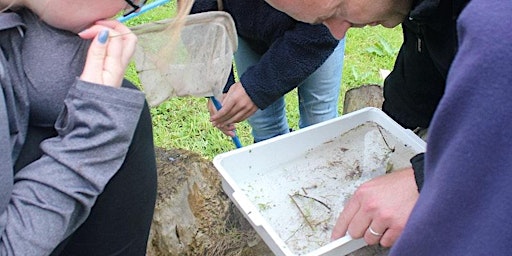 Hauptbild für Stream Dipping for Grown Ups – Tegg’s Nose Country Park