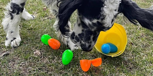 Dog Easter Egg Hunt Fundraiser primary image