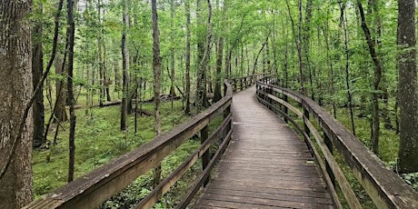 Imagen principal de South Carolina-52 Hikes Challenge Congaree National Park Boardwalk Trail