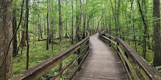 Primaire afbeelding van South Carolina-52 Hikes Challenge Congaree National Park Boardwalk Trail