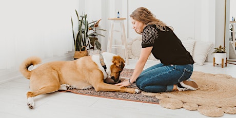 Animal Energy Connection Workshop