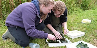 Imagem principal do evento Pond Dipping for Grown Ups – Brereton Heath Local Nature Reserve