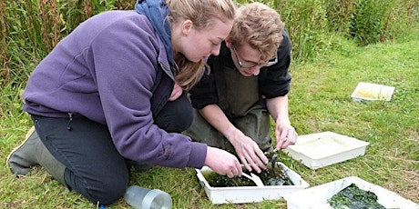 Pond Dipping for Grown Ups – Brereton Heath Local Nature Reserve