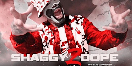 Hauptbild für Shaggy 2 Dope