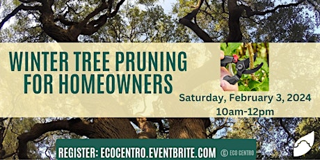 Winter Tree Pruning for Homeowners primary image