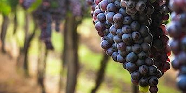 O3WI2002NY - Level 3 Award in Wines - Sept 16th - Nov 17th 2019