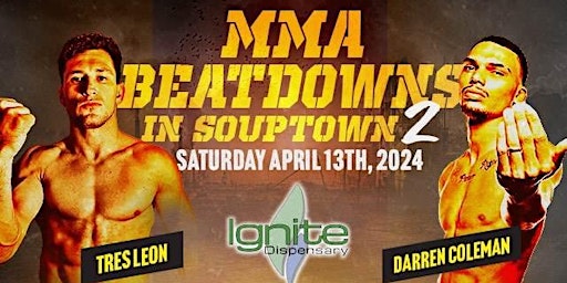 MMA Beatdowns in SoupTown 2 primary image
