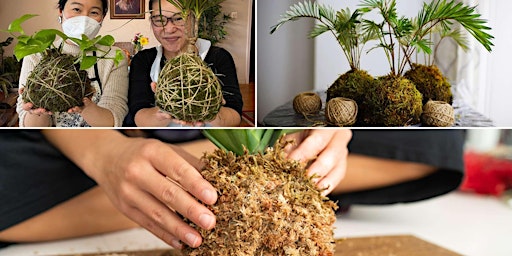 Primaire afbeelding van The Art of Kokedama - Art Class by Classpop!™