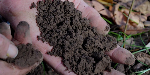 Image principale de The Body of Soil: Soil Geology with The Soil Keepers